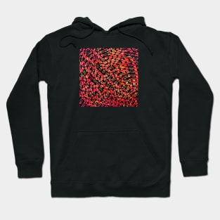 Abstract art in red Hoodie